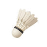 Badminton, Competitive