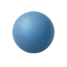 Exercise with Therapeutic Ball or Fitball