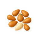 Pine Nut